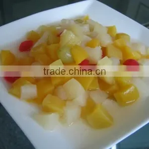 Canned Fruits Cocktail (canned Mixed Fruits) thumbnail-1