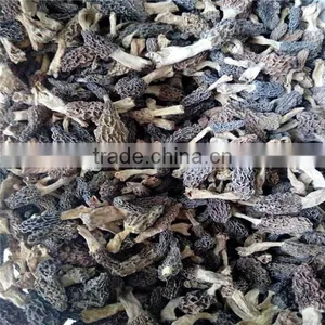 Dried Morel Mushroom Black Fungus Mushroom Market Prices for Mushroom thumbnail-2