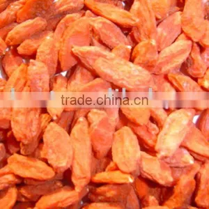 Barbary Wolfberry Fruit for Health thumbnail-1
