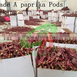 New Crop Sweet Paprika Smoked Paprika thumbnail-4