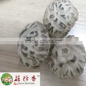 White Flower Shiitake Mushroom Dried With Different Size 3-6cm thumbnail-1