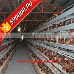 Design Automatic Equipment A Type Chicken House in Poultry Farm thumbnail-1