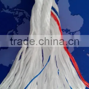 Supplier Danline Rope pp Material in Stock thumbnail-4
