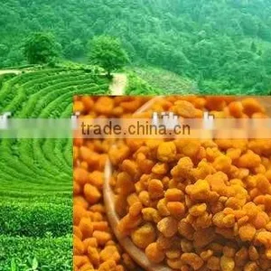 100% High Quality China Tea Bee Pollen thumbnail-1