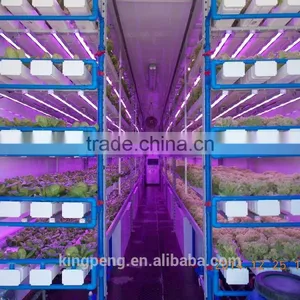 Container Greenhouse for Agriculture thumbnail-4