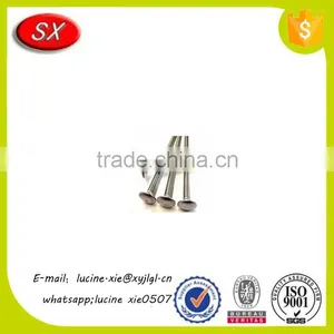 Custom Steel Round Big Flat Head Cap Screw With Reasonable Price thumbnail-6