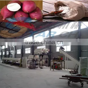 Large Capacity Full Automatic Sweet Potato Processing Machine thumbnail-1