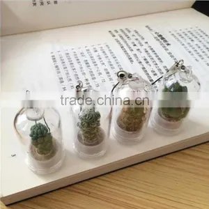 Wholesale Factory Cheap Glass Potted Meaty Cactus Plant Keychain, Super Mini Personal Gift Decorative Keychain Plant Design thumbnail-3