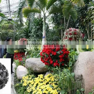 Hanging Ball Planters thumbnail-1
