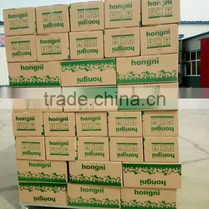 Florist Floral Foam for Fresh Flower Decoration for New Year thumbnail-2
