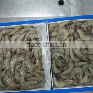 Vannamei Shrimps thumbnail-1