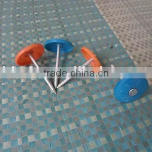 Torx Roofing Screw Nails With Plastic Caps China Supplier on Hot Sale thumbnail-3