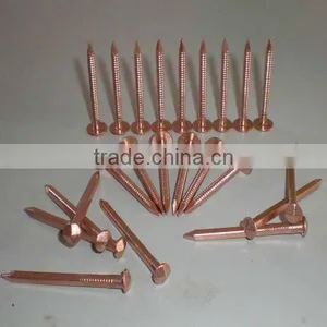 Hot Copper Nails thumbnail-1