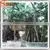 High Quality Decorative Artificial House Tree thumbnail-3