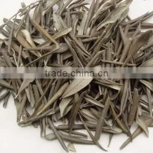2016 New Dried Olive Leaf thumbnail-1