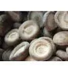 Frozen Shiitake Mushroom (whole,quarter,slice) thumbnail-1