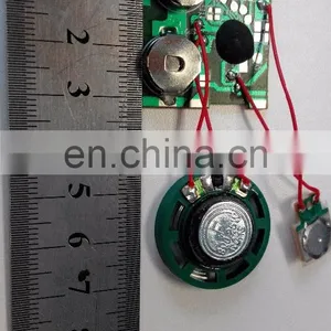 Small Recording Craft Music Sound Chip Device thumbnail-1