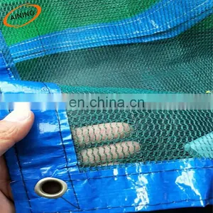 Blue PP Edge Green Construction Safety Nets thumbnail-1