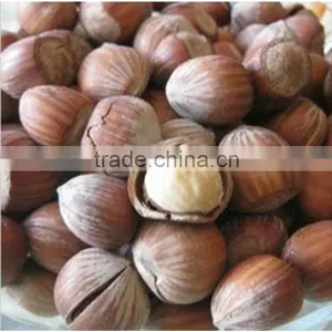 Organic Northeast China Opened Cooked Hazelnuts thumbnail-1