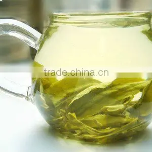 Yunan Large Leaf Green Tea thumbnail-2