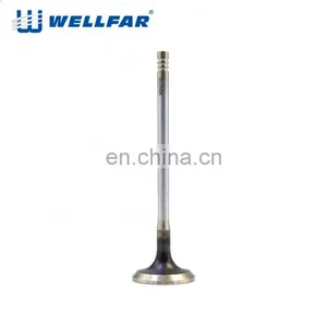 Wellfar OEM Manufacturer Engine Components For FIAT Idea 1.3 Intake and Exhaust Valve thumbnail-4