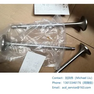 DAIHATSU DAIHATSU 6DK26 DAIHATSU 8DK26 INTAKE VALVE-2 E265780020 thumbnail-1
