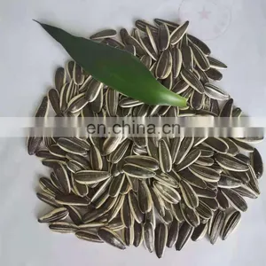 Wholesale Chinese Famous Brand Byloo Food Roasted Sunflower Seeds Sunflower Kernel Seeds Sunflower Melon Seeds thumbnail-2