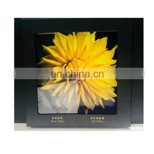 Showcase Display Clear Transparent Use Nano Liquid Spray Protection Paint AR Coating Glass thumbnail-1
