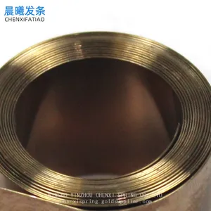 Stainless Steel Constant Force Spring for Shelf Pusher thumbnail-5
