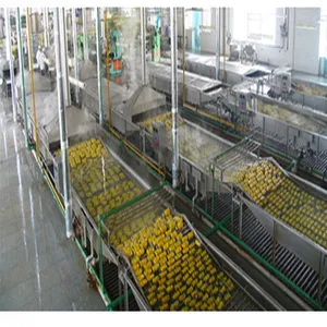 Automatic Fruit Peach Canning Production Line for Canned Pineapple PLC As Core Component thumbnail-6