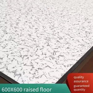 Wood-based Anti-static Floor Specially Designed for Data Centers, Raised and Movable Floor With Size 600*600, Wood Composite Anti-static thumbnail-4