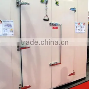 Walk-in Hinge Cold Room Doors From Jinan China thumbnail-1
