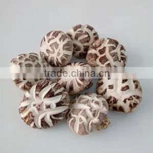 Dried Tea Flower Mushrooms thumbnail-1