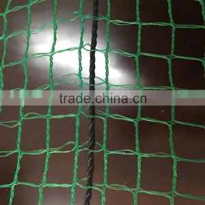 Bird Netting / Hdpe Agricultural Net / Anti Bird Netting With 3% UV thumbnail-1