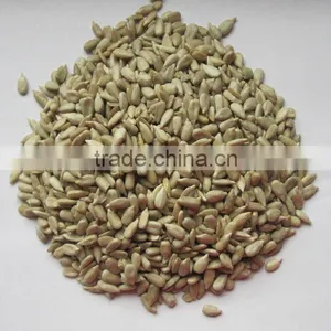 New Crop Sunflower Seed Kernel thumbnail-1
