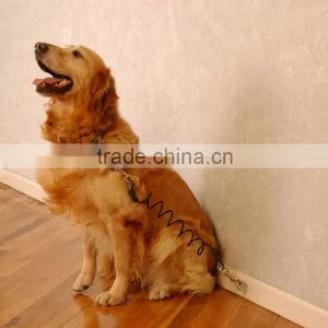 20ft Pet Dog Collars thumbnail-6