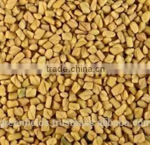 Fenugreek Natural Essential Oil thumbnail-1