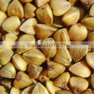 Brown Buckwheats,Crop 2013 thumbnail-1