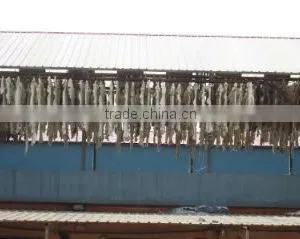 Qinyang Xingyue Industry Co., Ltd. company overview - view 3 thumbnail