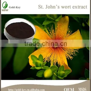 Hypericum Perforatum Extract, St.John's Wort Extract Powder thumbnail-1