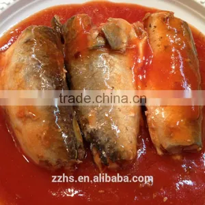 Canned Mackerel in Tomato Sauce thumbnail-1