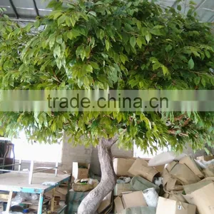 New Product Best Selling Evergreen Carambola Fake Tree Artificial Tree for Decoration thumbnail-1