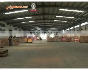 Yake (China) Co., Ltd. company overview - view 2 thumbnail