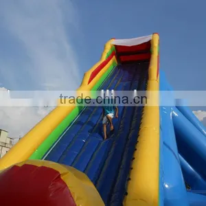Inflatable Water Slide , Giant Inflatable Water Slide for Adult ,inflatable Slide thumbnail-2
