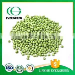 Wholesale Chinese Freeze Dried Green Pea thumbnail-4