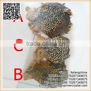 Party Headdress Clothes Decoration Jungle Cock Quality Choice thumbnail-1