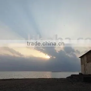 GUANGZHOU/SHENZHEN/FOSHAN/SHANGHAI/NINGBO/HONGKONG TO PORT SUDAN( Shipping Service )-----kelly thumbnail-1