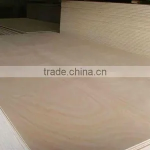 EUCALYPTUS PLYWOOD WITH LOWEST PRICE thumbnail-1