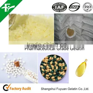 Medical/ Pharmaceutical Gelatin thumbnail-2