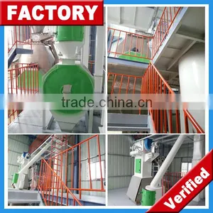 Our Project Case _ Henan Richi Machinery _ Pellet Machinery _ Feed Pellet Plant thumbnail-6